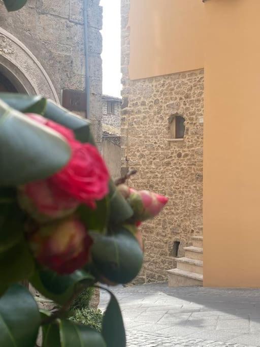 Il Nido Dell'Arte Apartment Anagni Exterior foto